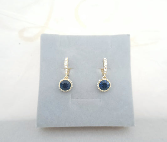 Statement Jewellery Earrings #120